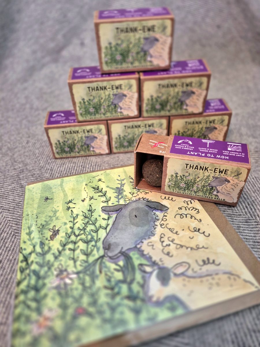 "Thank-Ewe" sustainable wildflower seed ball favours - Image 3