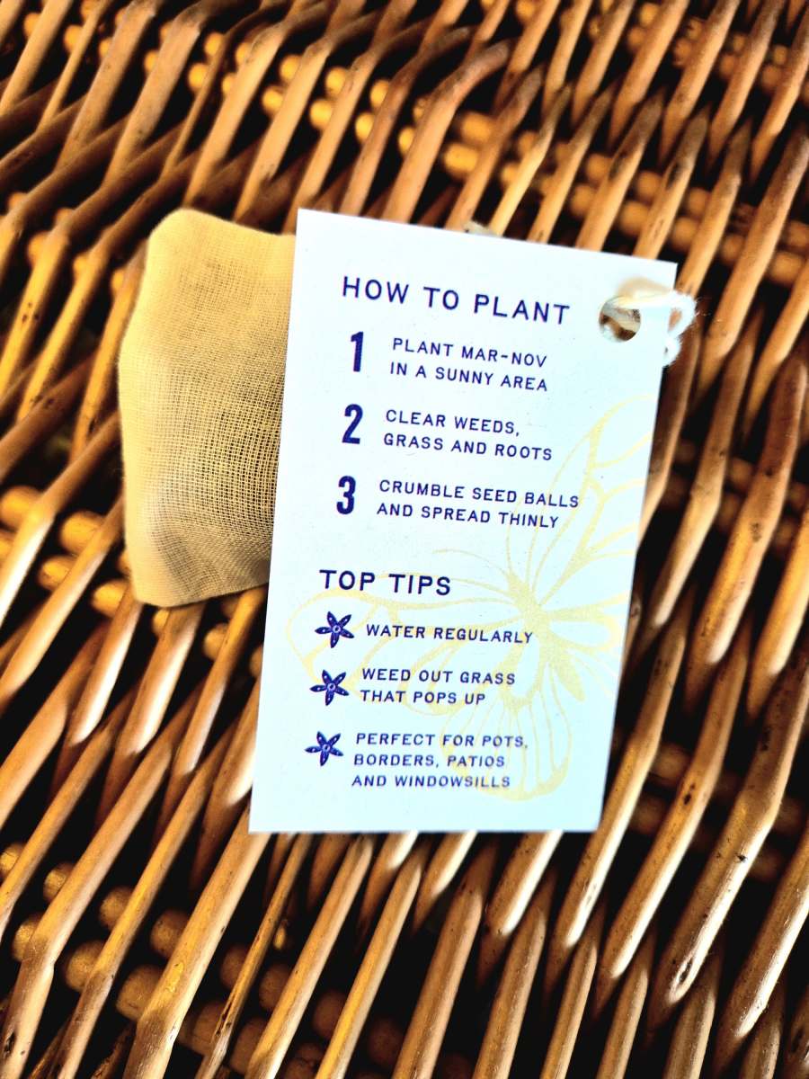 Individual Wildflower Seed Ball in Sustainable Cotton Bag - Image 2