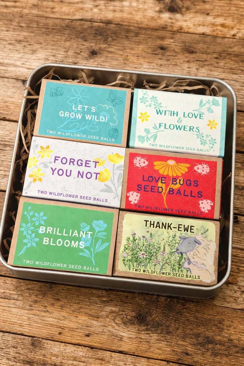 Premium Gift Tin of 6 Mini Wildflower Seed Ball Boxes - Image 4