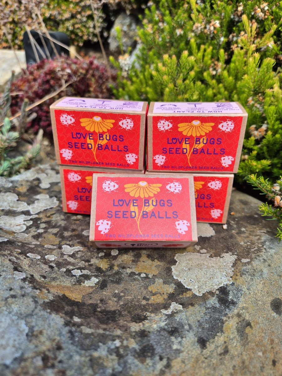 "Love Bugs" sustainable wildflower seed ball favours - Image 3