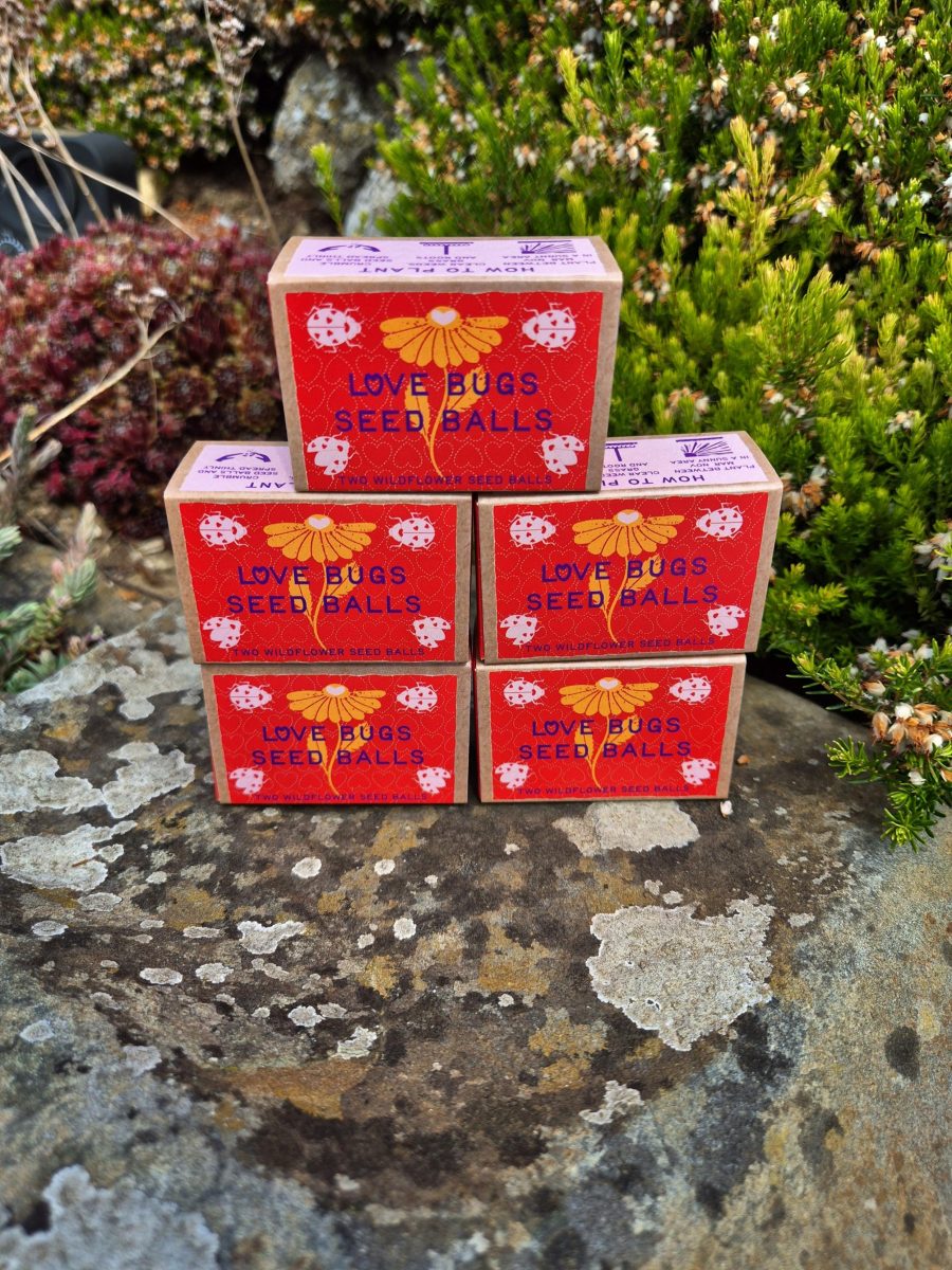 "Love Bugs" sustainable wildflower seed ball favours - Image 2