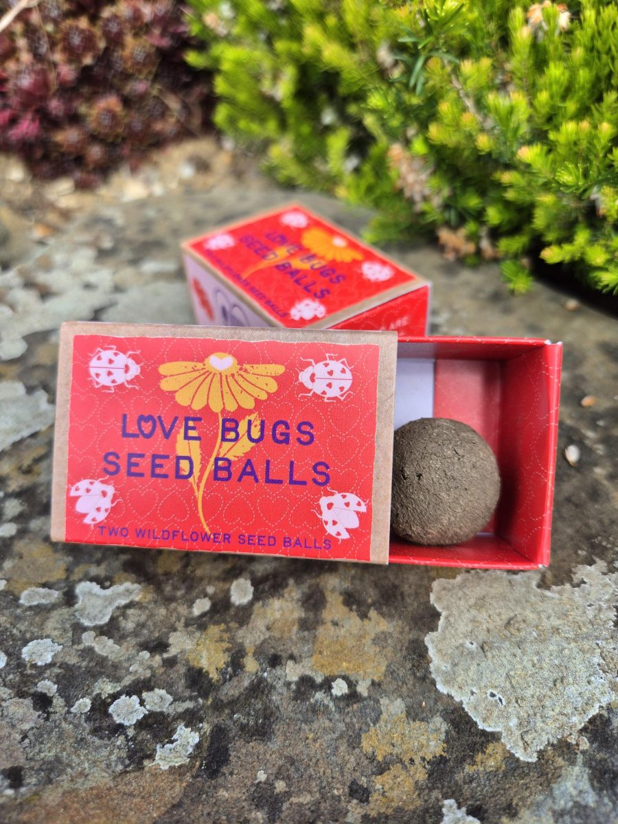 Love-bugs-mini-box-individ-03.05.25.jpeg