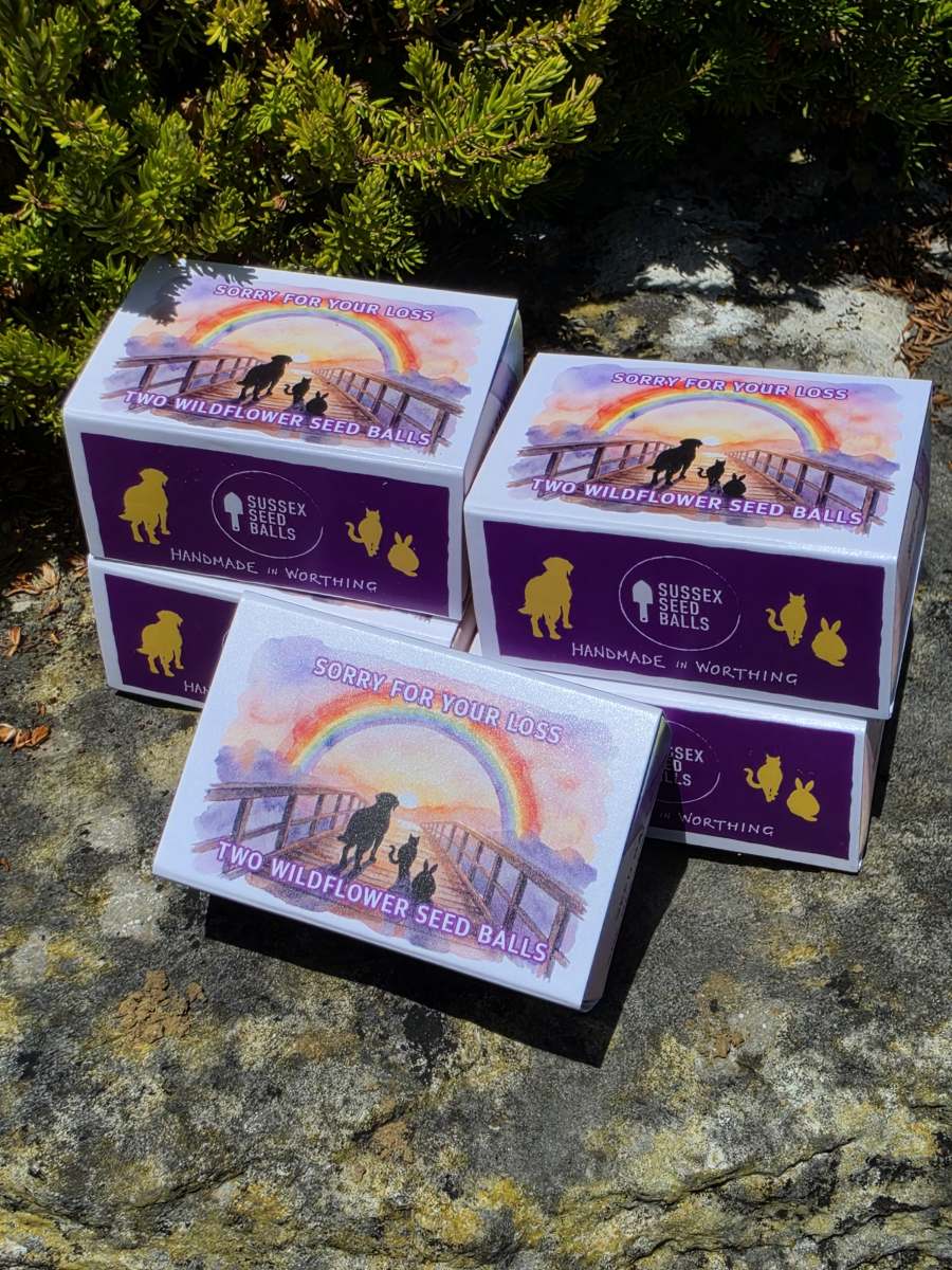 "Rainbow Bridge - Sorry For Your Loss" sustainable wildflower seed ball favours - Image 7