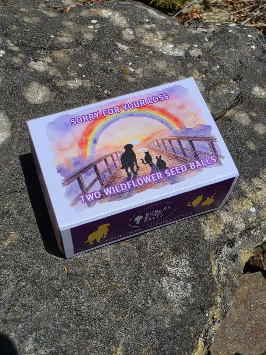 "Rainbow Bridge - Sorry For Your Loss" sustainable wildflower seed ball favours - Image 6