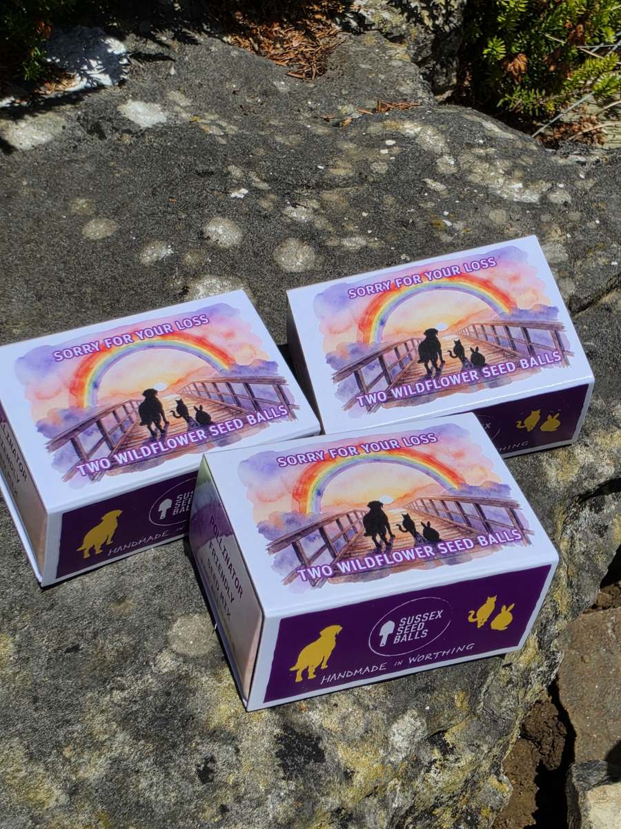 "Rainbow Bridge - Sorry For Your Loss" sustainable wildflower seed ball favours - Image 5
