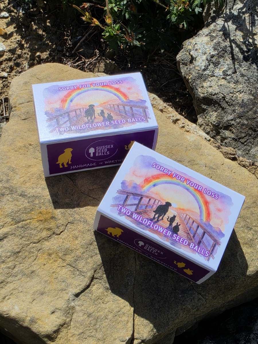 "Rainbow Bridge - Sorry For Your Loss" sustainable wildflower seed ball favours - Image 4