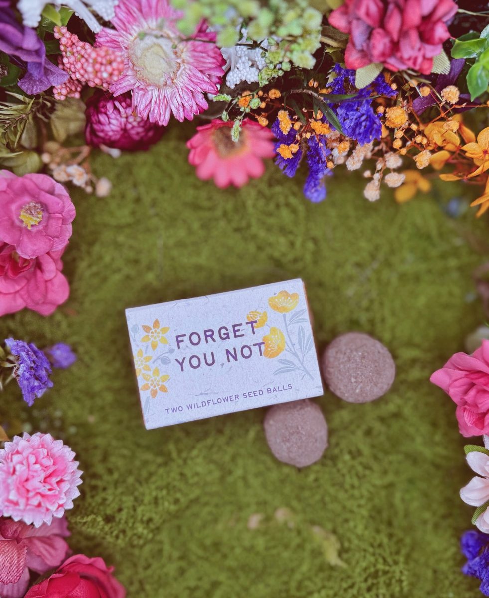 "Forget You Not" sustainable wildflower seed ball memorial favours - Image 3