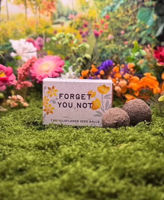 "Forget You Not" sustainable wildflower seed ball memorial favours - Image 2