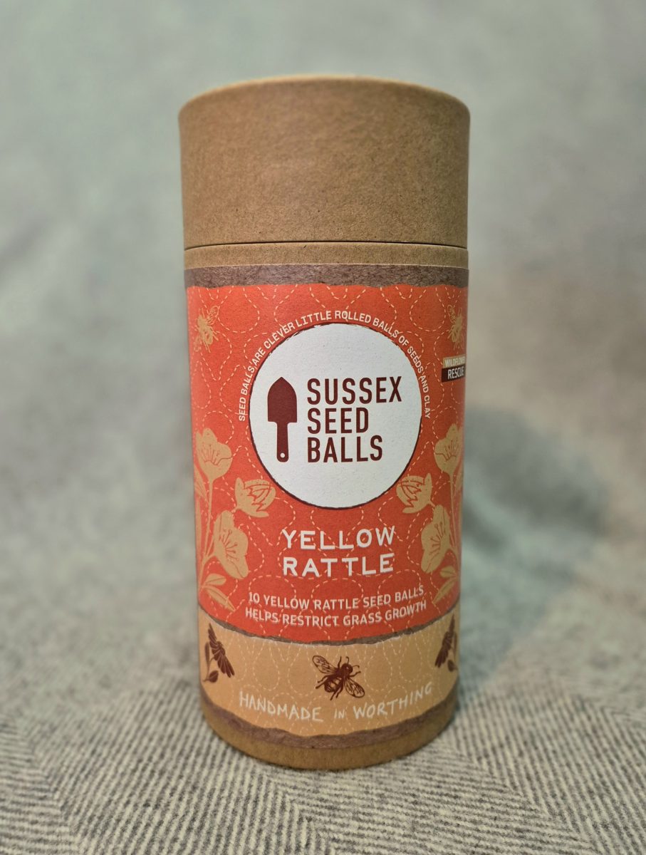"Yellow Rattle" wildflower seed ball tube